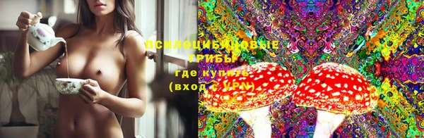 прущий лед Алексин