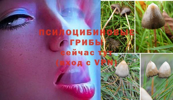 стафф Алексеевка