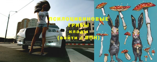 прущий лед Алексин