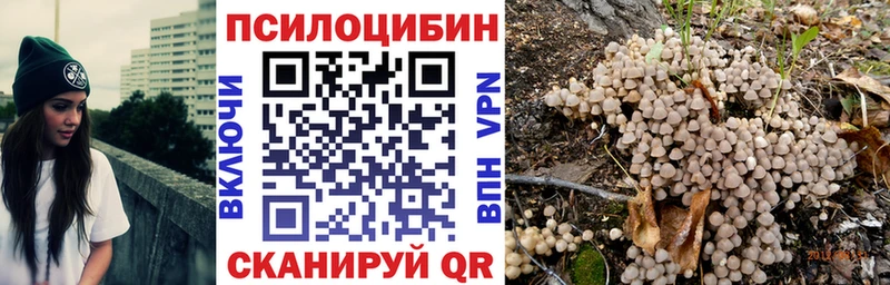 Галлюциногенные грибы Psilocybine cubensis  МЕГА ссылка  Камбарка 